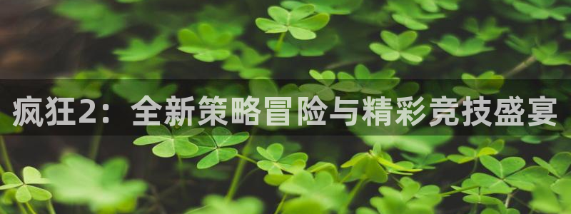 星欧娱乐是什么：疯狂2：全新策略冒险与精彩竞技盛宴