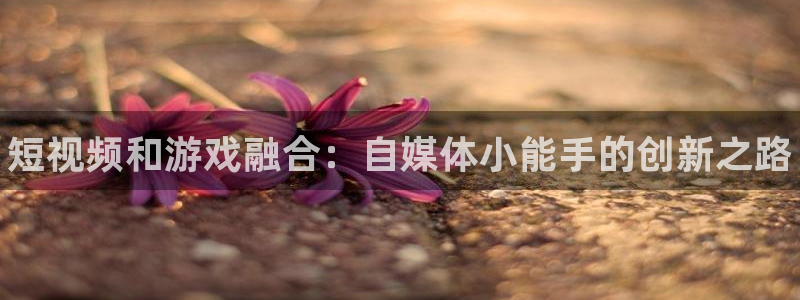 星欧娱乐平台登陆：短视频和游戏融合：自媒体小能手的创新之路