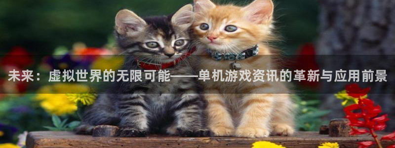 星欧娱乐平台官网登录：未来：虚拟世界的无限可能——单机游戏资