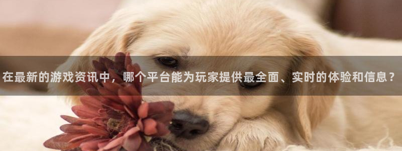 星欧娱乐平台：在最新的游戏资讯中，哪个平台能为玩家提供最全面