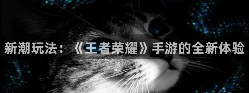 星欧娱乐什么意思：新潮玩法：《王者荣耀》手游的全新体验